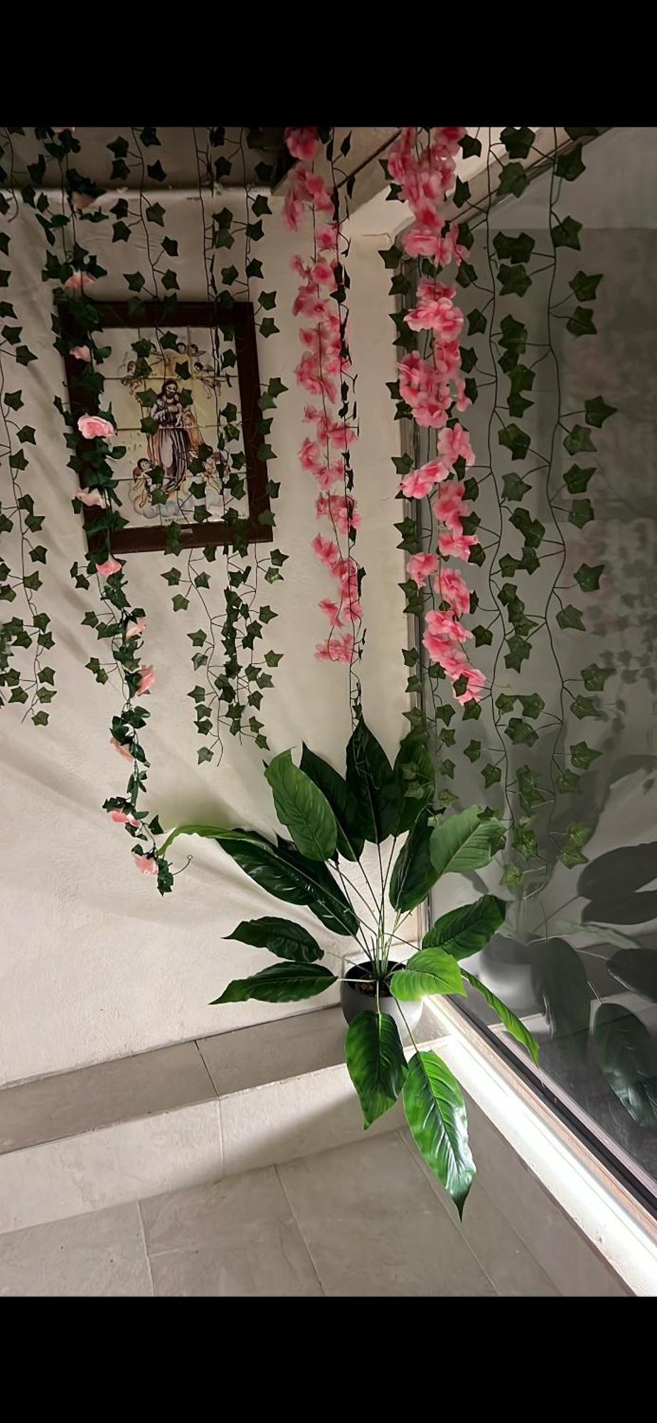 瓦伦西亚Tosalet公寓 外观 照片